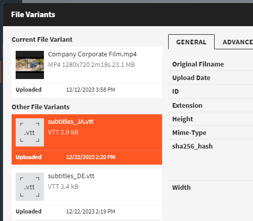 File variants for a video. Alongside the MP4 itself, subtitle files in Japanese and German sit on the same object.
